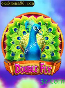 Explorando o Mundo de DoubleFly: Descrição, Introdução e Regras do Jogo